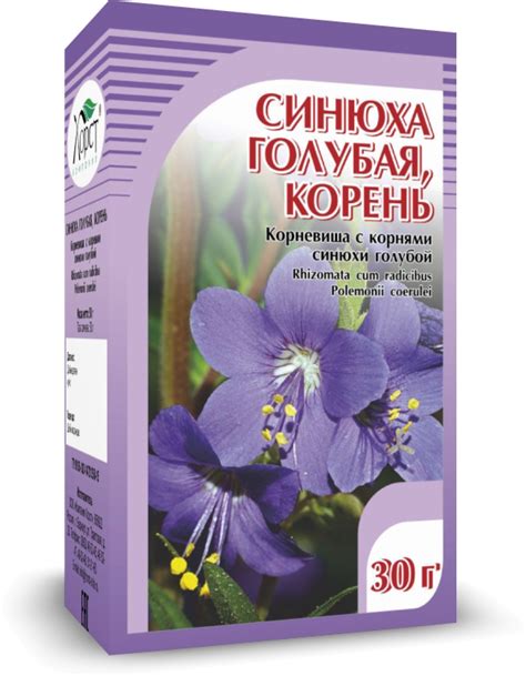 Компания ХОРСТ - СИНЮХА голубая, корень