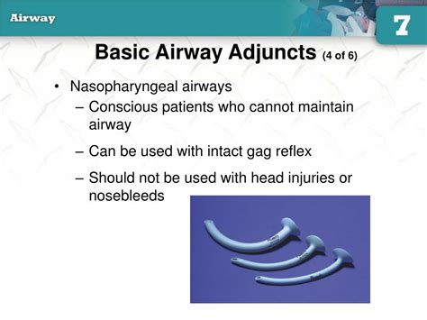 Ppt Basic Airway Adjuncts 3 Of 6 Powerpoint Presentation Free