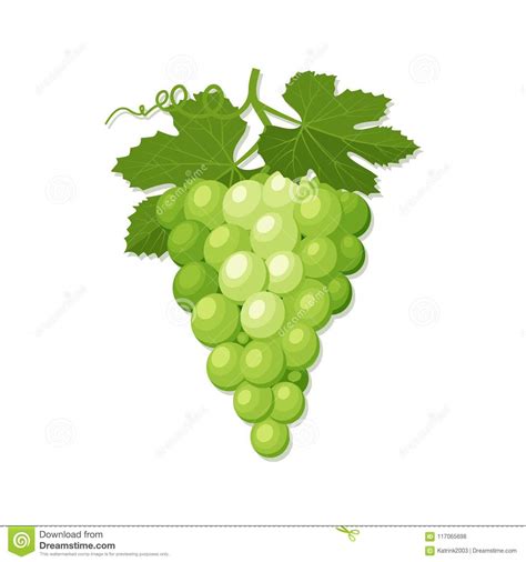 Icono De Un Manojo De Uvas Verdes Con Las Hojas Ilustraci N Del Vector