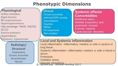 COPD Phenotypes Current Knowledge And Future Needs Nicola HANANIA