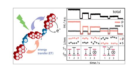 Stepwise Decrease Of Fluorescence Versus Sequential Photobleaching In A Single Multichromophoric