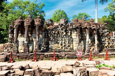 Procession Of Elephants On The Elephant Terrace Angkor Thom Cambodia