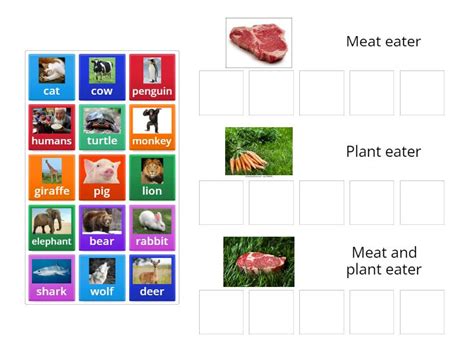 meat  plant eaters group sort