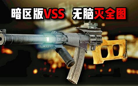 暗区版vss 无解无脑灭全图 逃离塔科夫 米尔miru 米尔miru 哔哩哔哩视频