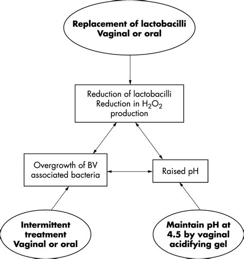 Managing Recurrent Bacterial Vaginosis Sexually Transmitted Infections