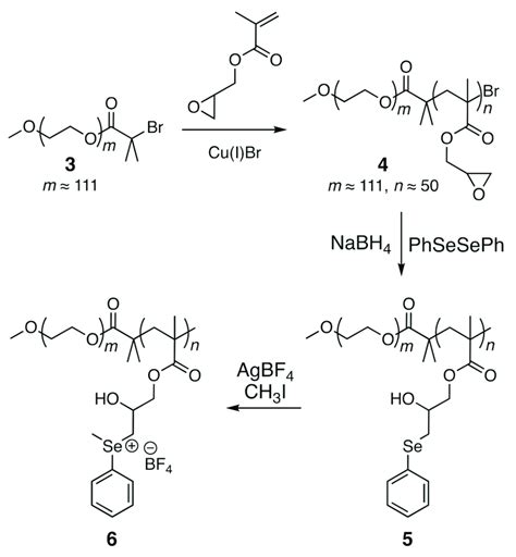 Scheme 2 Synthesis Of Organoselenium Block Copolymers The Degree Of