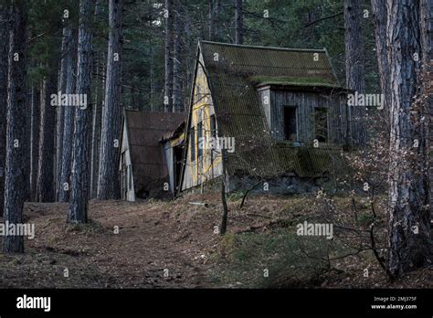 Cabane Abandonn S For T Banque De Photographies Et Dimages Haute