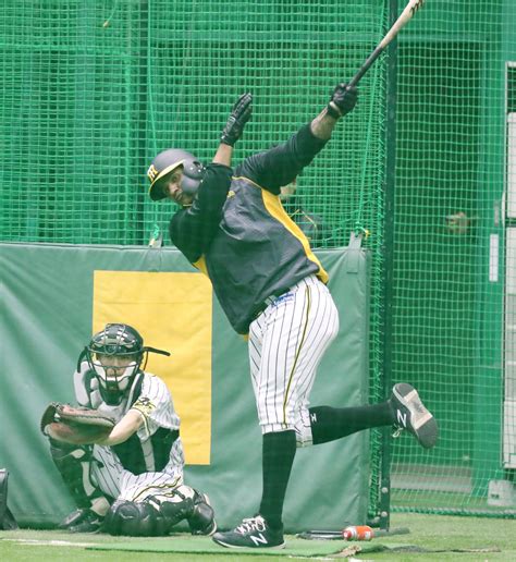 矢野監督「金曜日いこうかな」助っ人野手そろい踏み プロ野球写真ニュース 日刊スポーツ