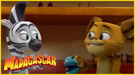 Dreamworks Madagascar En Espa Ol Latino Alex Y Marty Tienen Un Plan