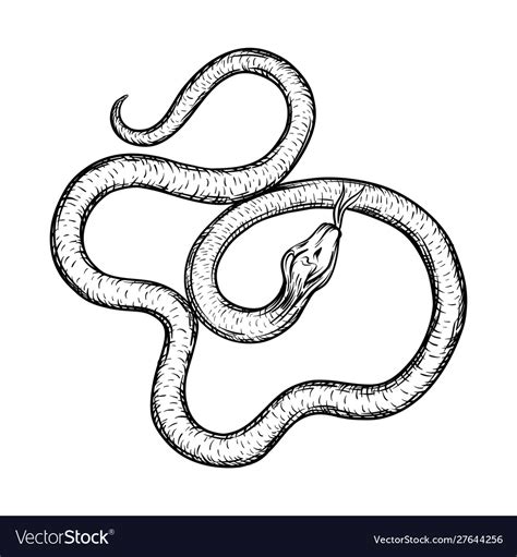 Snake Drawing Designs