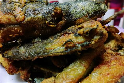 Resepi Ikan Keli Goreng Berlada Paling Simple Iluminasi