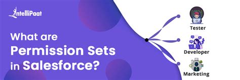 Permission Sets In Salesforce Intellipaat