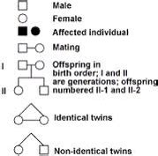 Inheritance Genetics - AP Biology