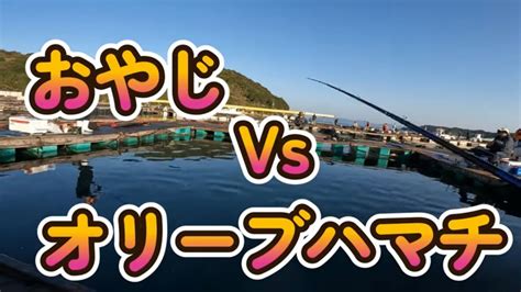 海上釣堀 水宝 オリーブハマチ釣ったぞー Youtube