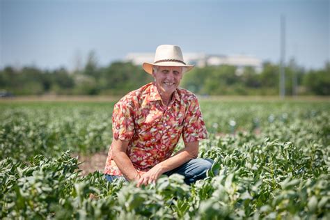 New Usask Research Has Potential To Make Fava Beans A New Favourite