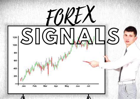 Best Forex Signal Providers For 2024 • Dumb Little Man