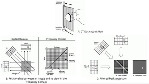 Convolution And Fft Hot Sex Picture