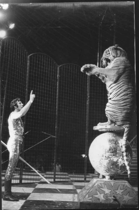 pin  roz kravitz  circus carnivals  circus circus pictures