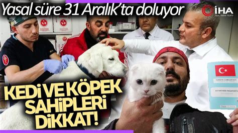 Kedi Ve K Pek Sahipleri Dikkat Art K Zorunlu Olacak Youtube