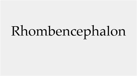 How to Pronounce Rhombencephalon - YouTube