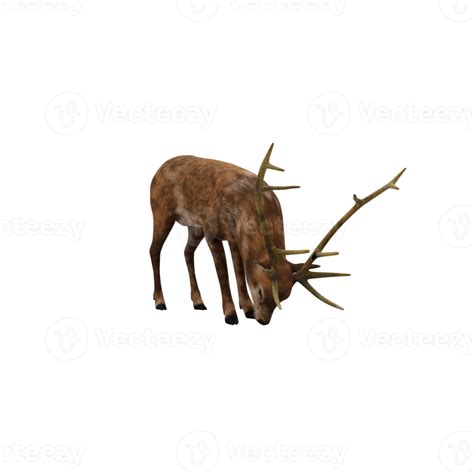 3d Deer Stag Isolated 18875967 Png