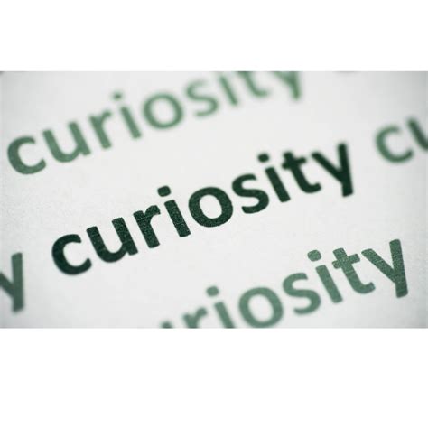 Curiosity Passion Purpose What Do They Have In Common — Sue Glasser — Sue Glasser