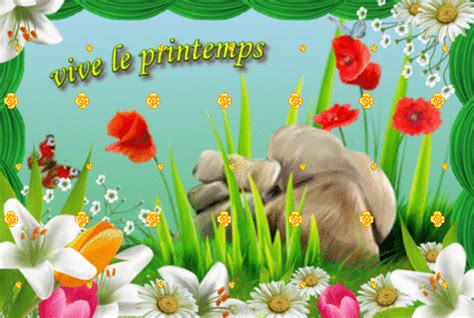 Printemps Image Anim E