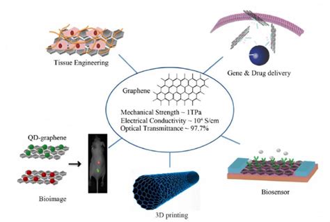 Different Medical Applications Of Graphene Hu Et Al 2012 Shin Et Download Scientific