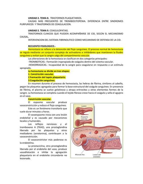 Unidad Tema Trastornos Plaquetarios Y Tema C Willmary Matheus