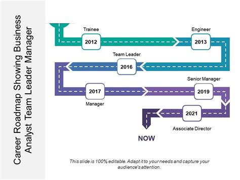 Career Roadmap Showing Business Analyst Team Leader Manager