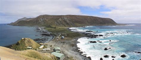 The Island — Macquarie Island Conservation Foundation