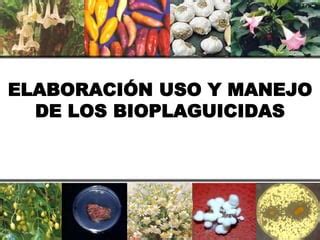 Entomopat Gnos Y Bioplaguicidas Ppt