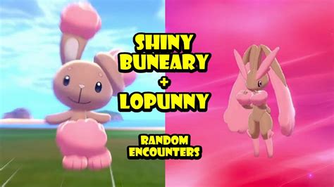 AMAZING SHINY BUNEARY LOPUNNY Isle Of Armor Pokemon Sword Shield