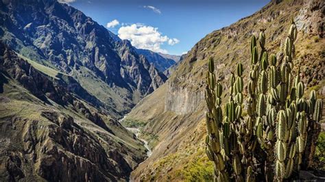 Ab Arequipa Tagestour Zum Colca Canyon Getyourguide