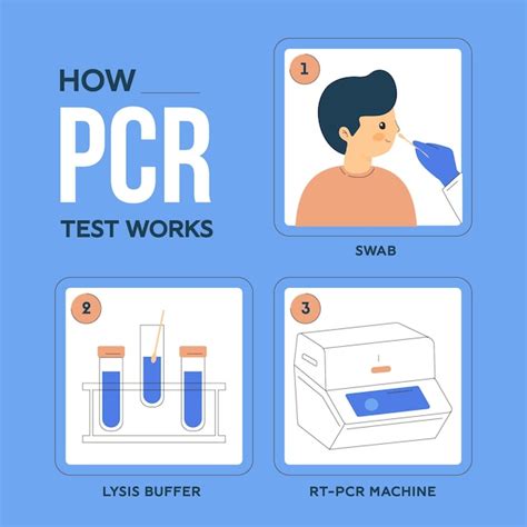 Free Vector How Pcr Test Works