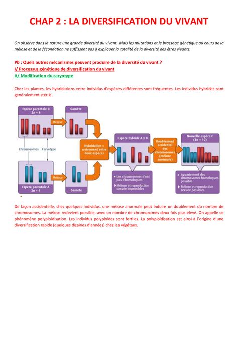 Les Mécanismes De Diversification Des êtres Vivants Résumé De Cours Alloschool