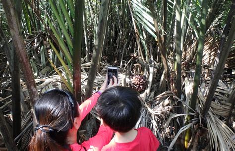 Adventures With The Naked Hermit Crabs