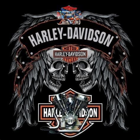 Pin By Colton Stephens On Harley Davidson Harley Davidson Artwork