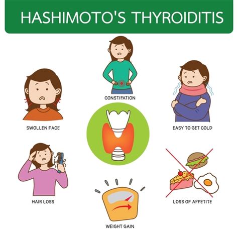 Blood Test Breakthrough The Role Of Plr In Hashimotos Thyroiditis