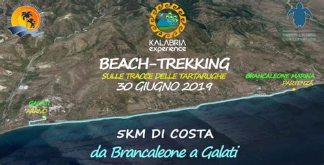 Domenica Giugno Beach Trekking Sulle Tracce Delle Tartarughe Marine