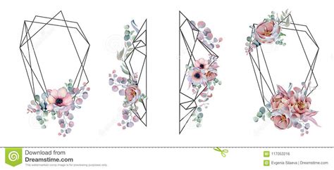 Geometric Botanical Design Frame Wild Flowers Peonies Anemone