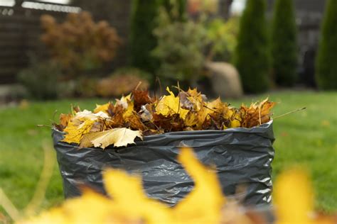 How To Repurpose Fallen Leaves In The Garden