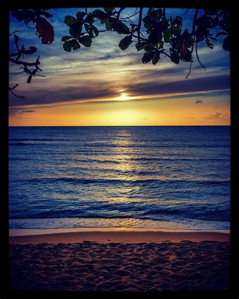 A Wonderful Sunset 🌇 On The Beach 🌊 Under The Trees 👌☺💖 Sunset Love