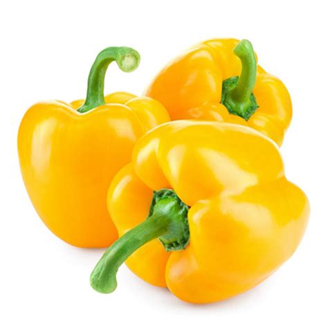 A Grade Fresh Yellow Capsicum At Kg In Pune Id