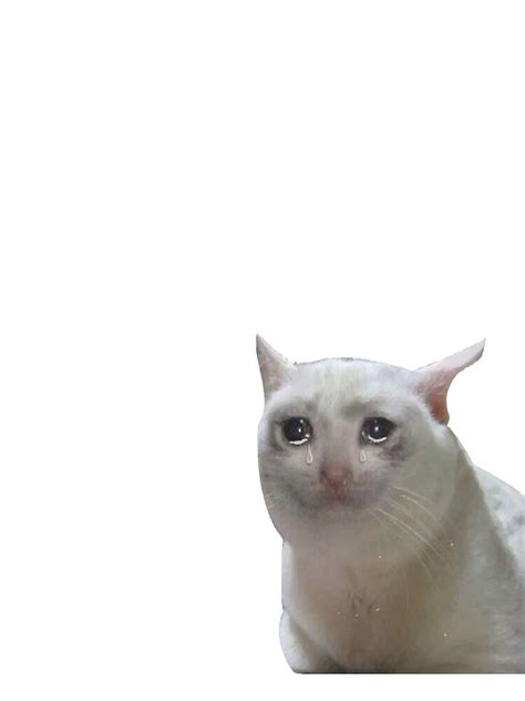 Crying Cat Meme Memes Mixed Memes Png Pngegg Atelier Yuwa Ciao Jp