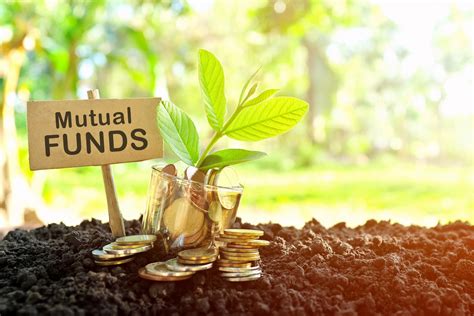 Best Mutual Funds Of