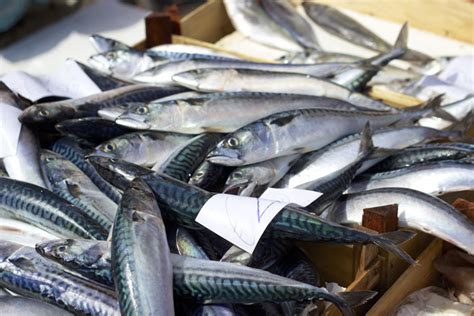 Seis Razones Para Consumir Sardinillas O Sardinas