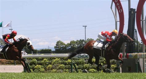 【中京5r・新馬戦】2番人気ルージュスタニング好センス 阪神jfを目標に― スポニチ Sponichi Annex ギャンブル