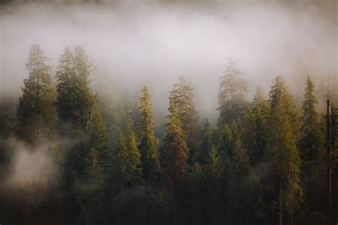 Nick Rufo On Twitter Rt Johncwingfield Winter Days In The Cascades