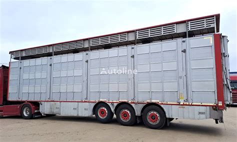 Pezzaioli SBA63U livestock semi trailer for sale Poland Chodzież ER39069